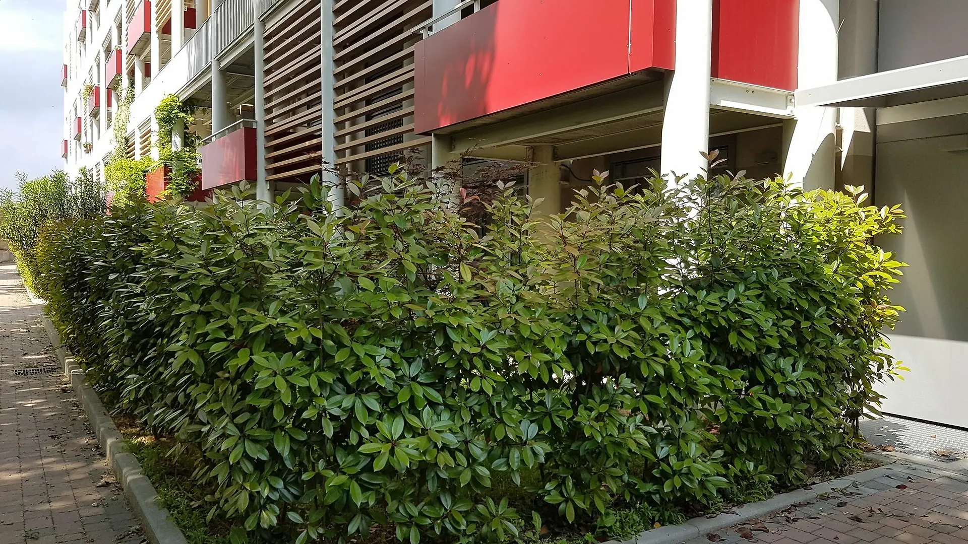 Bdp10 Apartment Milan